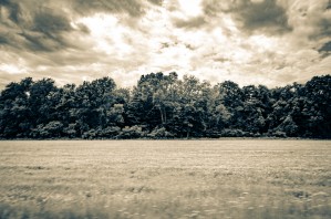 Rural Lake with Clouds