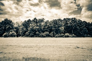 Country Field and Rolling Hills