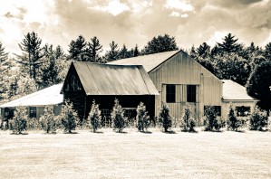 Country Rural Barn