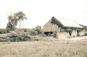 Farmland Old Barn