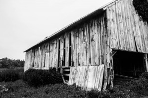 Rustic Barn