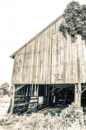 Rural Barn Wood