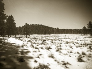 Rural Grass and Snow