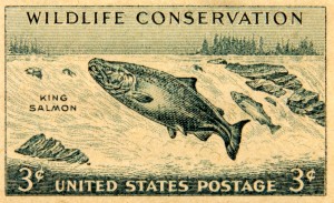 Wildlife Conservation Stamp