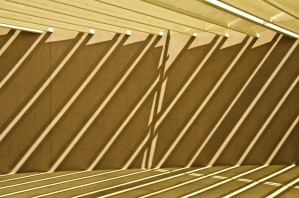 Lines and Light Rays
