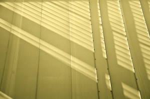 Canvass and Shadows