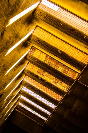 Light and Mesh Abstract