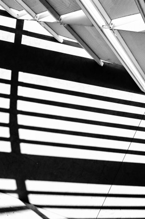 Curved Shadows