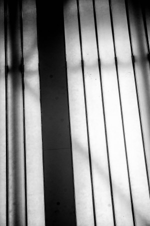 Vertical Shadow Lines