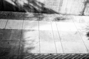 Concrete and Autumn Leaves