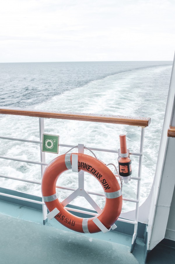 Life Preserver by David Pinter
