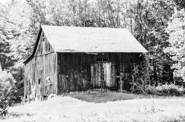 Old Rustic Shed Print