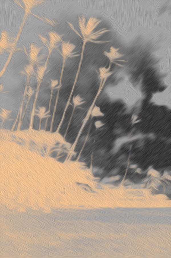 Sunset Palm Trees Print
