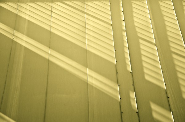 Canvass and Shadows by David Pinter