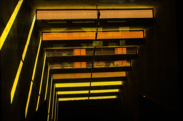 Windows Mesh and Light by David Pinter