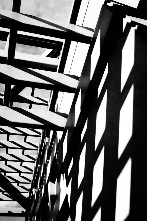 Casting Light and Shadows Print