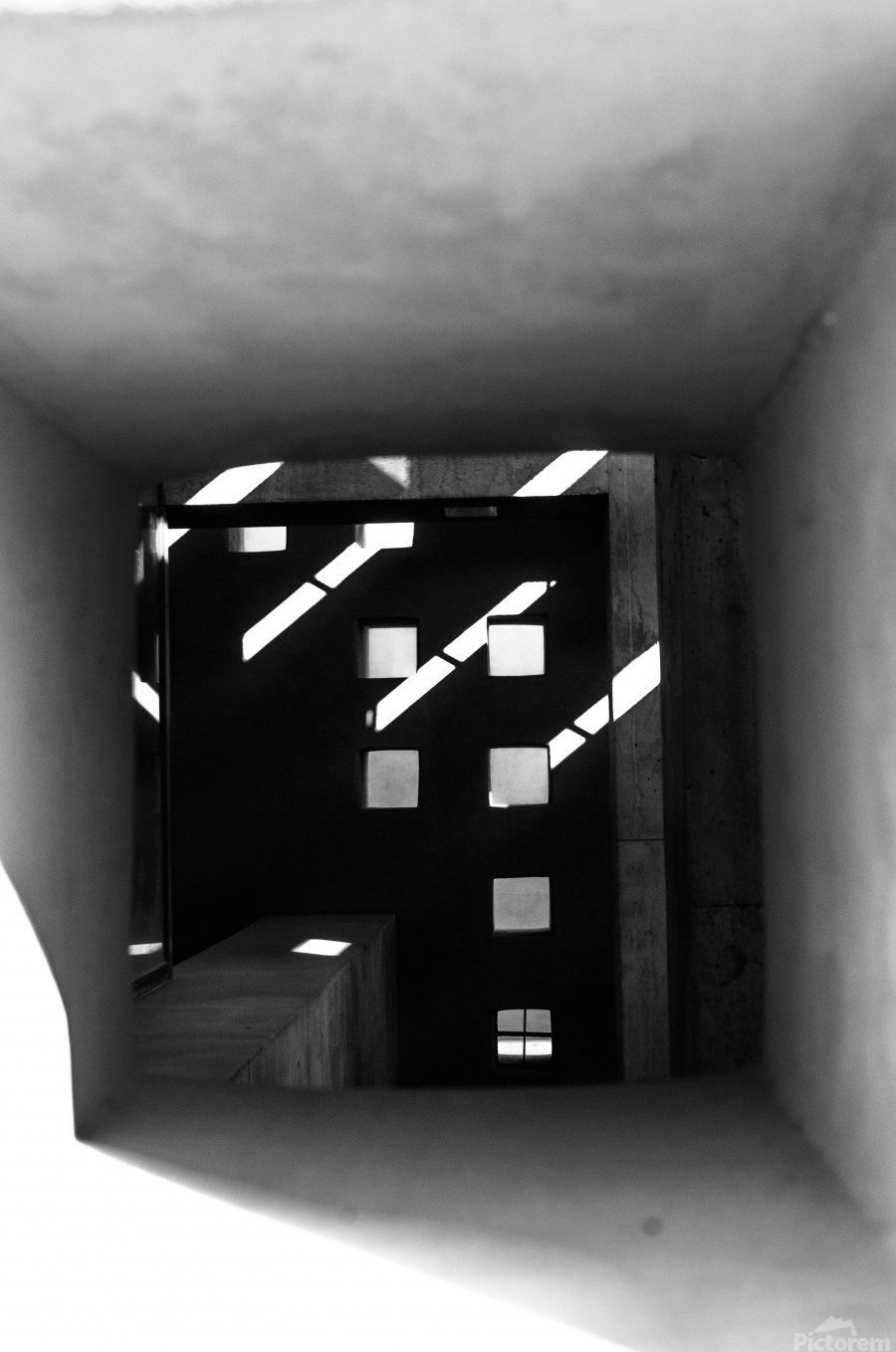 Follow the Light
