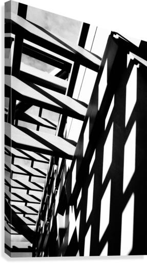 Casting Light and Shadows Canvas Print