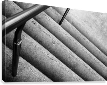 Descending Leaf Canvas Print