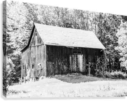 Old Rustic Shed Canvas Print