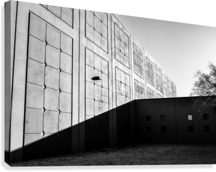 Wall Shadow Canvas Print