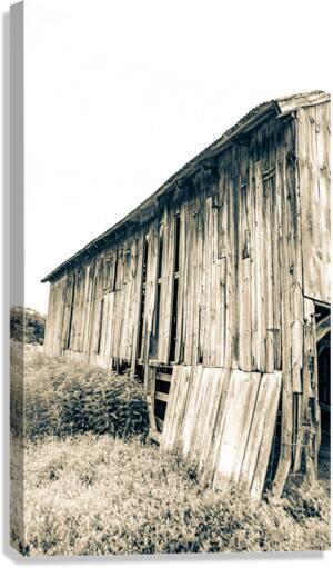 Textured Barn Canvas Print