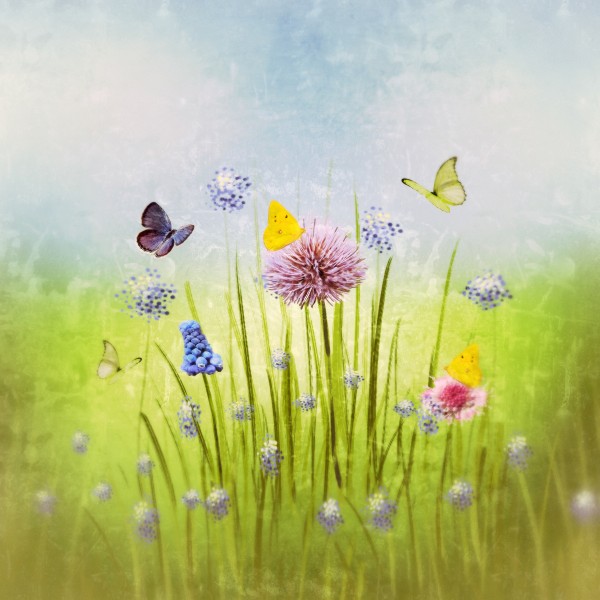 Spring meadow by Dagmar Marina