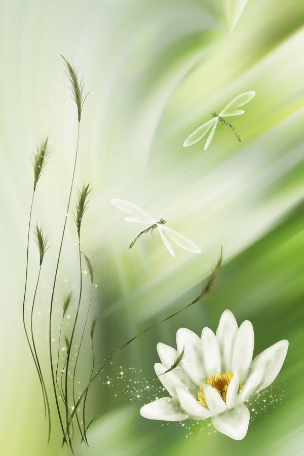 Libellenpaar  by Dagmar Marina