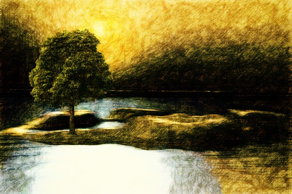 the Tree by Dagmar Marina