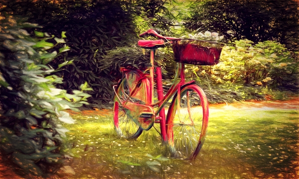 Fahrrad by Dagmar Marina