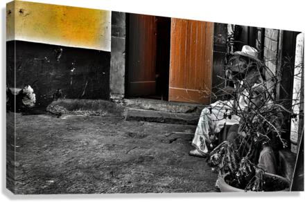 How good is your healthcare  Canvas Print