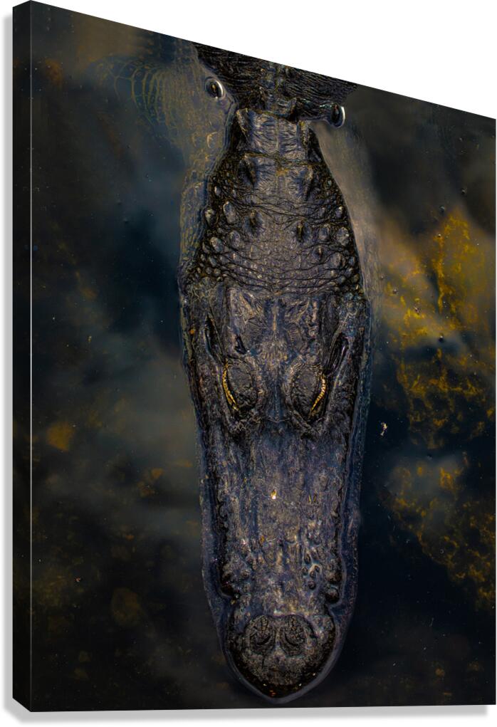 ANI 02189 Canvas Print