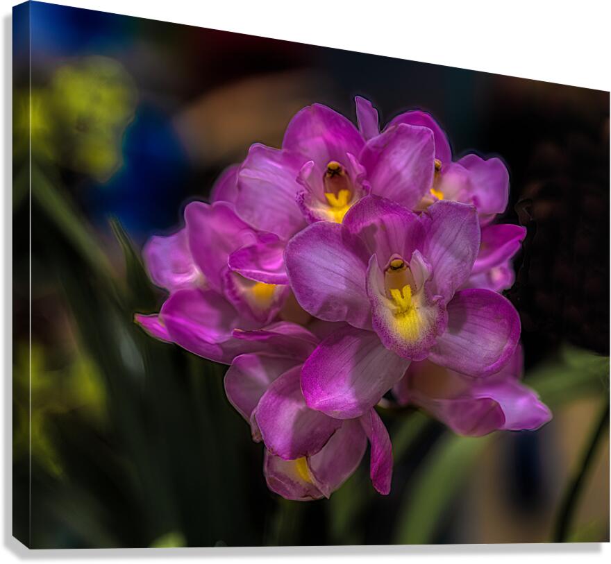 FLO 02267 Canvas Print