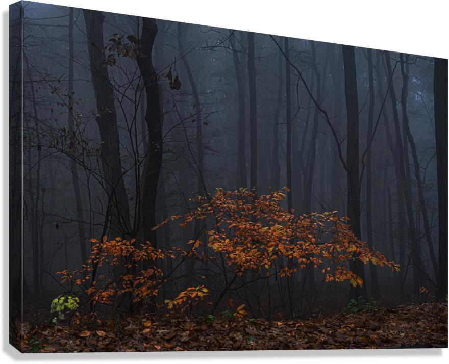 LAN 02297 Canvas Print
