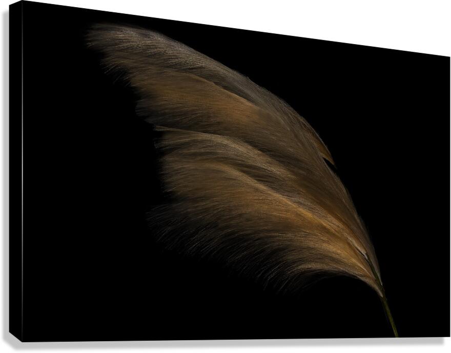 MIS 02215 Canvas Print