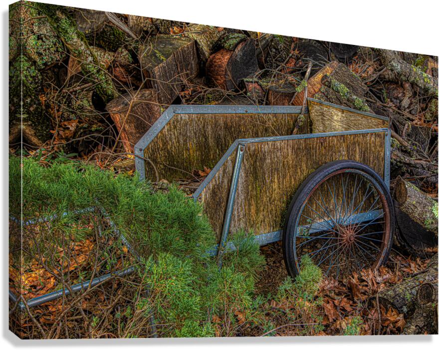 MIS 02226 Canvas Print