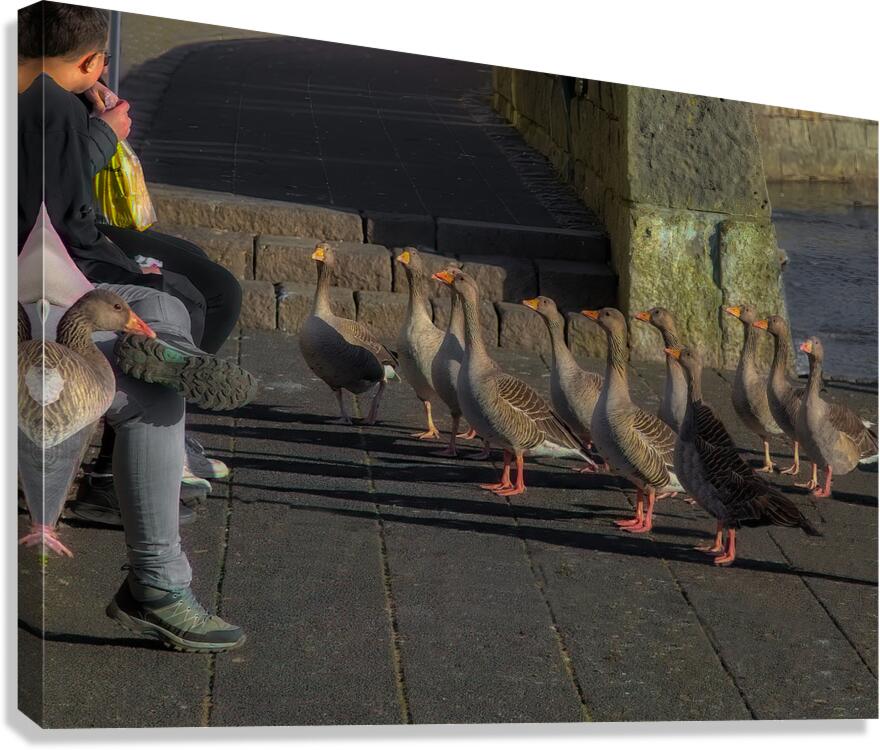 MIS 02144 Canvas Print