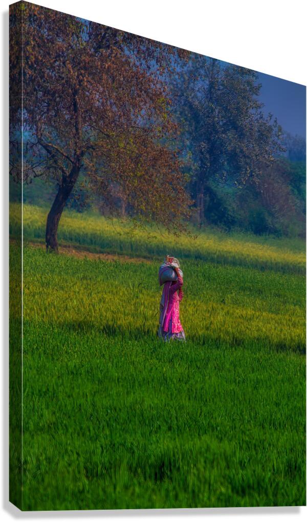 PEO 02368 Canvas Print