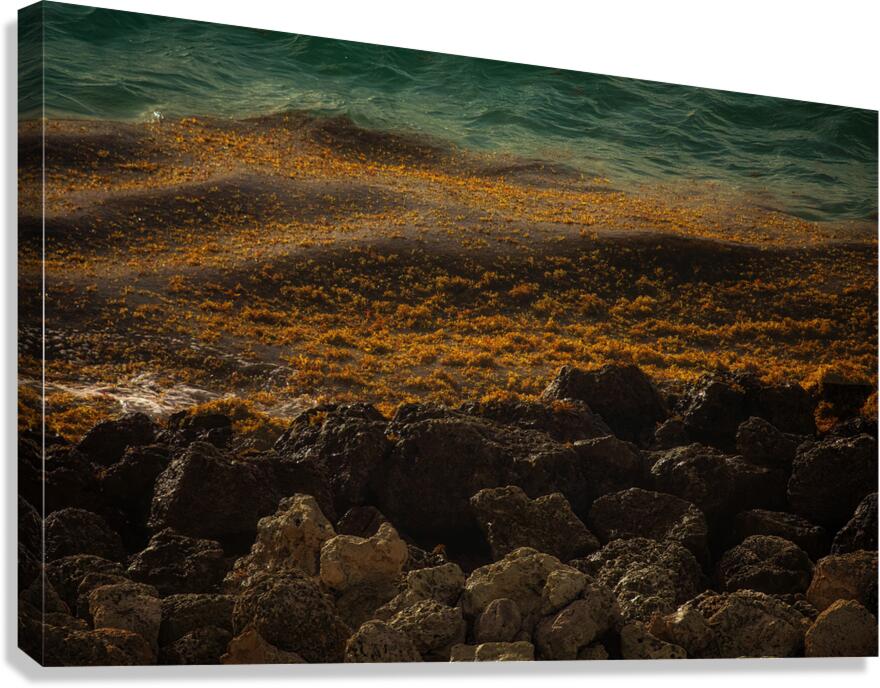WAT 02453 Canvas Print