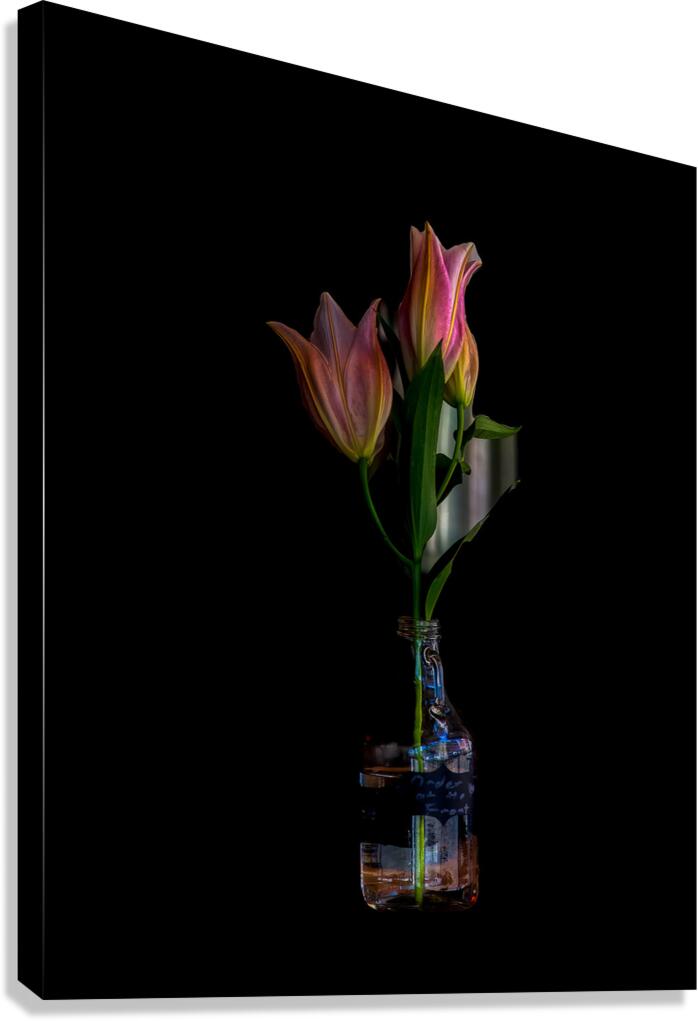 FLO 02469 Canvas Print