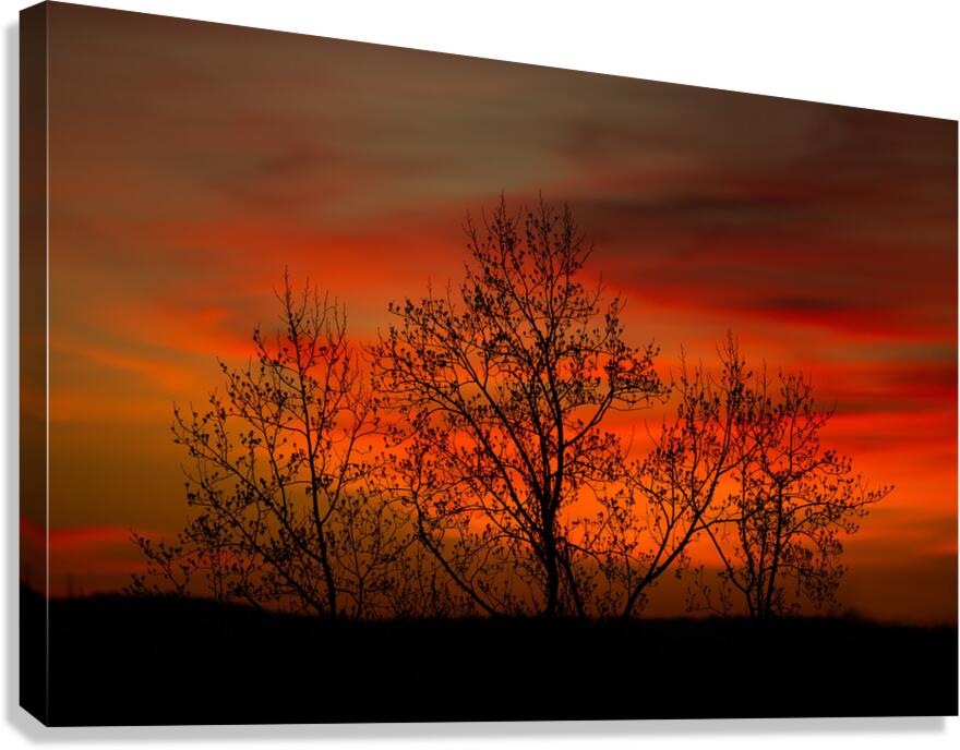 LAN 02471 Canvas Print