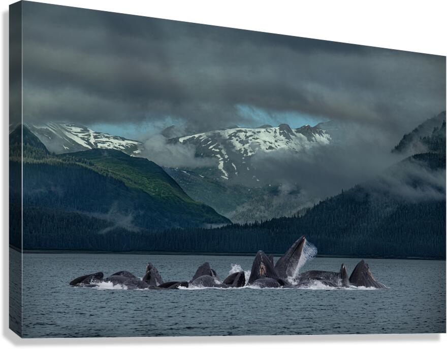 MIS 02579 Canvas Print