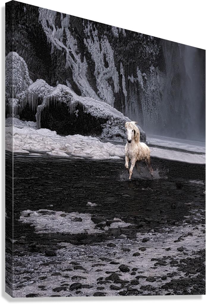 ANI 02548 Canvas Print