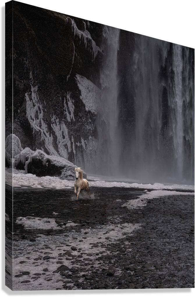 ANI 02584 Canvas Print