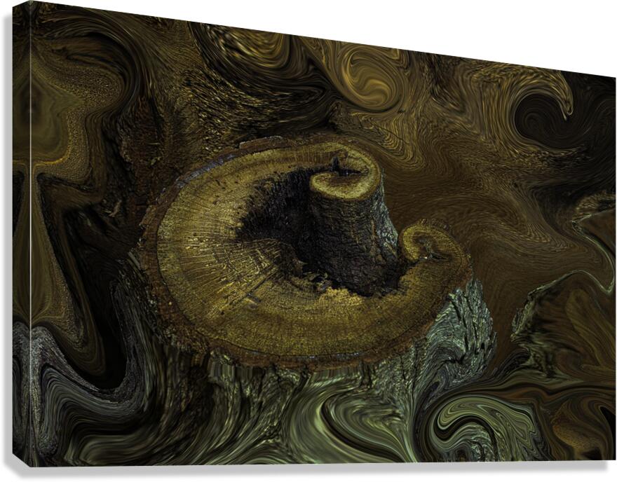ABS 02662 Canvas Print