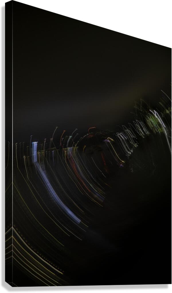 ABS 2687 Canvas Print