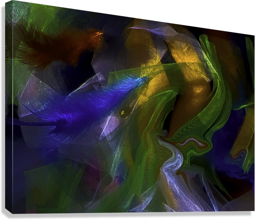 ABS 00042 Canvas Print