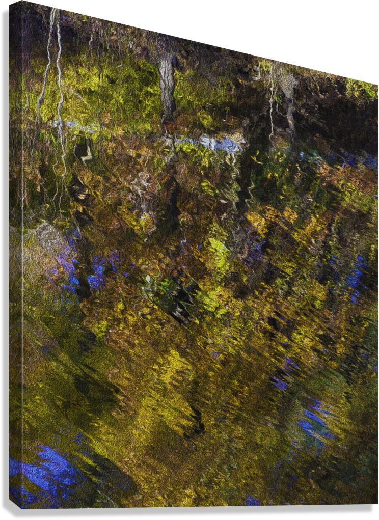 ABS 00012 Canvas Print