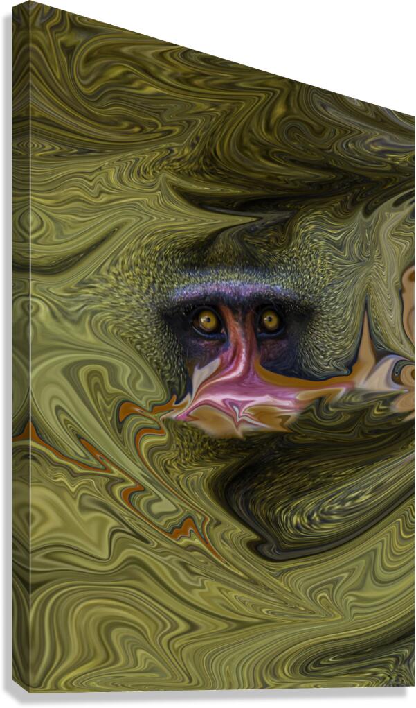 ABS 00037 Canvas Print
