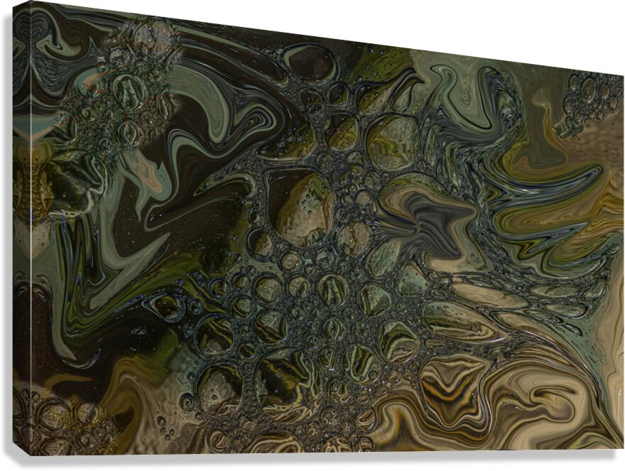 ABS 00074 Canvas Print